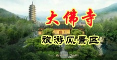 大鸡巴网俄罗斯特黄中国浙江-新昌大佛寺旅游风景区